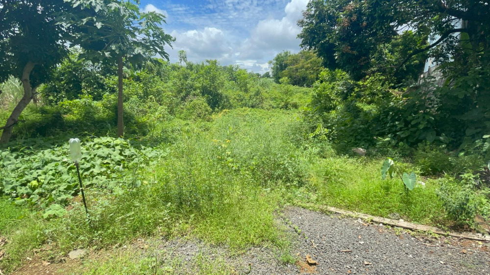 Residential Land at Royal Road Lallmatie